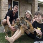 Tigers About the House