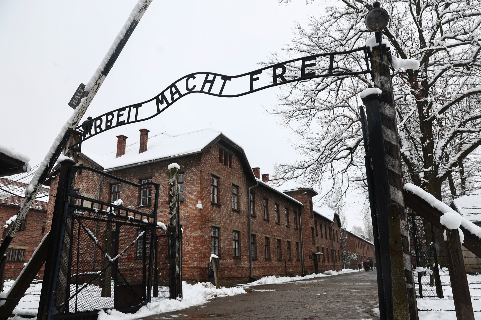 Canal HISTÓRIA estreia “Auschwitz: 80 Anos Desde a Libertação