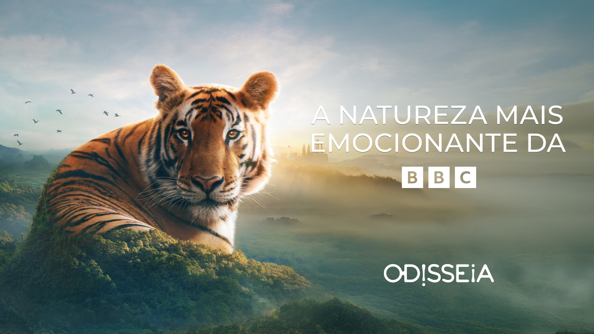 Odisseia estreia em exclusivo “A natureza mais emocionante da BBC”