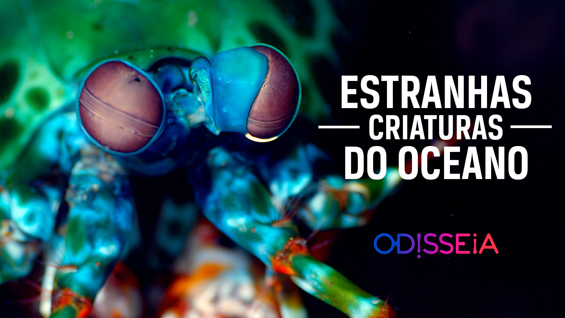 Canal Odisseia inicia 2026 com a estreia de “Estranhas Criaturas do Oceano”